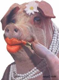 Hyperinflationary Depression 2012 - 2014: Mainstream Media Keeps Putting Lipstick on Pig Economy
